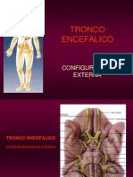 16- TRONCO ENCEFALICO-1