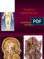17 - Tronco Encefalico-2