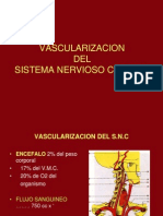 19- Vascularizacion An