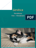 Genetica, Definiciones