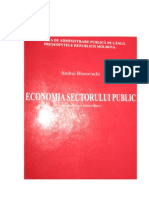 Economia Sectorului Public