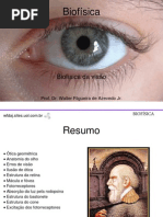 Aula 8. Biofísica da Visão