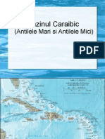 Bazinul Caraibic
