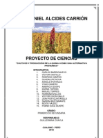 Proyecto Feria Ciencias Cultivos y Produccion de La Quinua