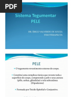 Aula 18 - Sistema Tegumentar [Modo de Compatibilidade]
