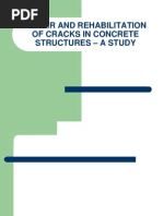 Download Repair and Rehabilitation of Cracks in Concrete Structures by ebinVettuchirayil SN105496928 doc pdf