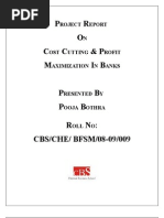 Download Cost Cutting and Profit Maximization in Indian Banks by poojabothracbs353 SN10550340 doc pdf