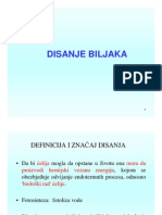 Fiziologija 4 DISANJE BILJAKA (Compatibility Mode) PDF