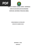 Download Anatomia e fisiologia do Sistema reprodutor Feminino by Bruna Milagre SN105512194 doc pdf