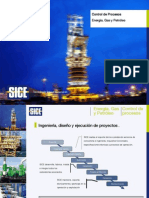 7.0.0 Control Procesos (Energia, Gas y Petróleo) (31-05-2011) (Esp)