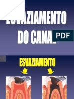 Esvaziamento Katia 2011 PDF