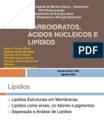 Lipidios - Membranas Sinais Co Fatores Pigmentos Separacao