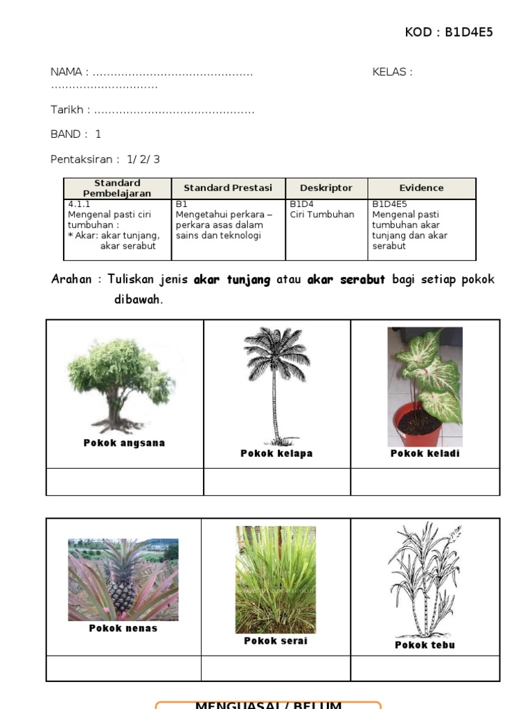 B1d4e5 Pdf