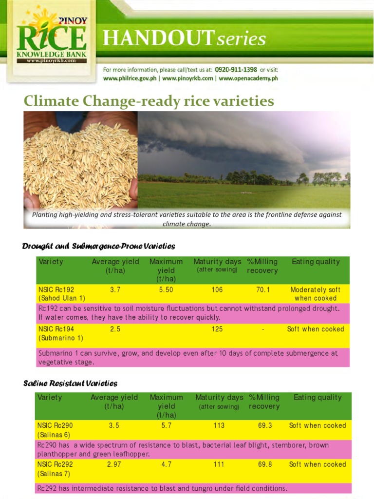 Climate-Resilient Rice Varieties Guide | PDF | Rice | Natural Resource ...