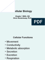 Cell Biology