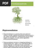 Download PHYTOREMEDIATION by TU_MTECH_ENV11 SN105557395 doc pdf