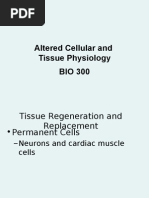 Download Chapter03 Altered Cell  Tissue by chris SN10556072 doc pdf
