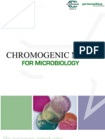 PN ChromogenicMedia