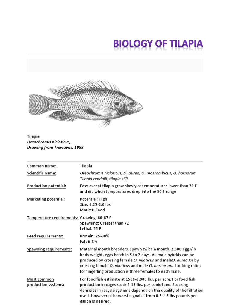 Biology of Tilapia Spawn (Biology) Fish