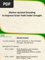 Download Marker-assisted breeding to improve grain yield under drought by leahcruz SN105568365 doc pdf
