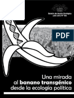 Una Mirada Al Banano Transgénico Desde La Ecología Política (Alerta Verde 166)