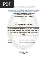 Proyecto de La Contaminación Ambiental | PDF | Contaminación | Entorno ...