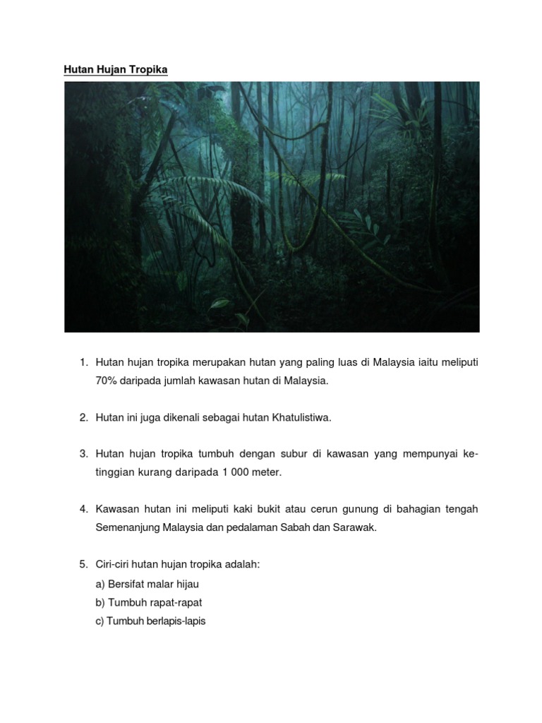 Hutan Hujan Tropika Pdf