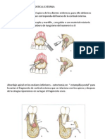 Cirugia Periapical