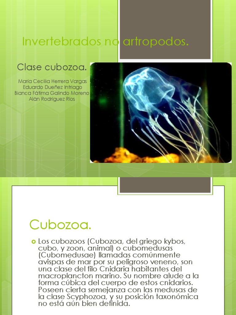 Características de Cubozoa y su Veneno | PDF | Hogar, jardinería y ...
