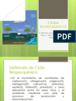 Ciclos BIOGEOQUIMICOS