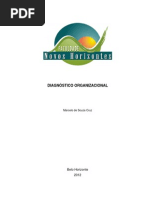 Marcelo de Souza Cruz - DIAGNÓSTICO ORGANIZACIONAL