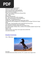 Download kuda arab by Radi Cahya SN105696263 doc pdf
