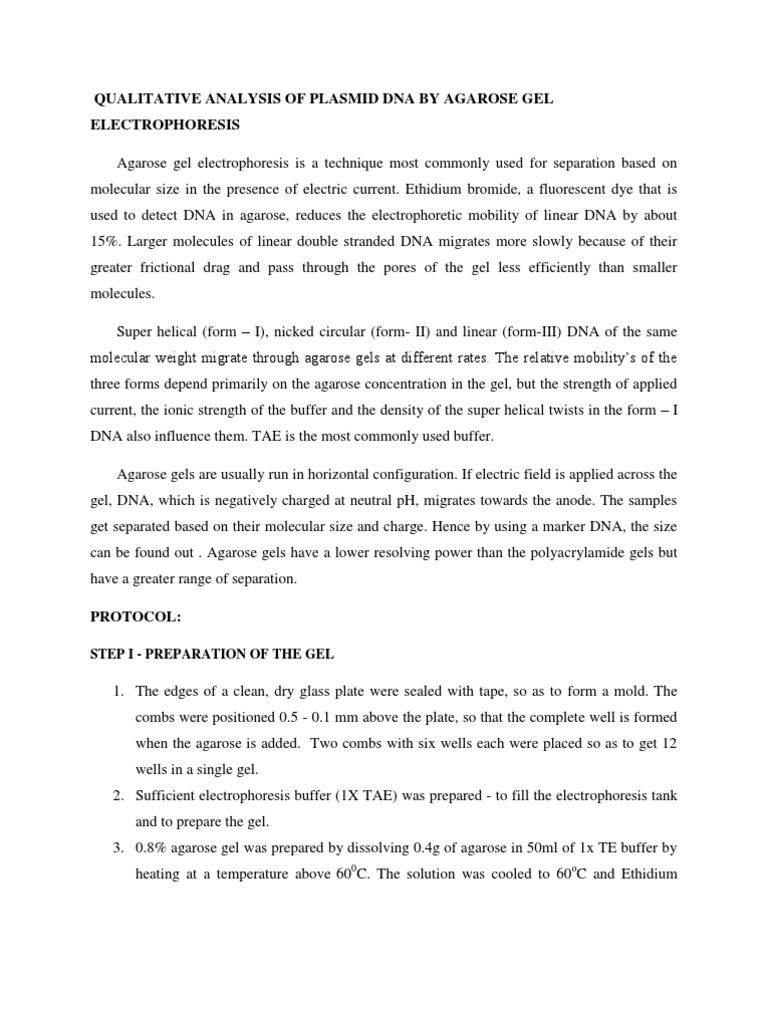 Qualitative Analysis of Plasmid Dna by Agarose Gel Electrophoresis ...