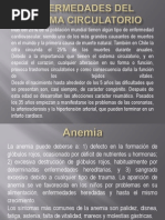 Enfermedades Del Sistema Circulatorio