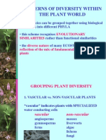 Patterns of Diversity Within The Plant World