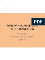 Types of Human Cell & Cell Organisation