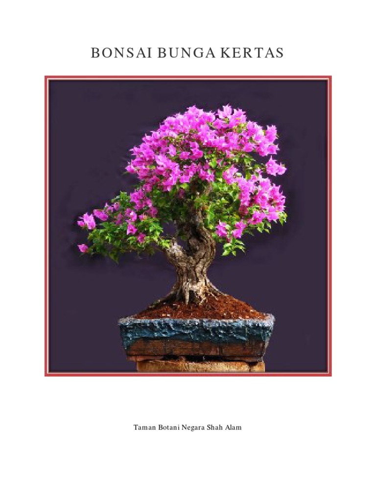 Bonsai Dalam Pasu Bunga Coklat  Elemen Grafik RAW percuma muat turun -  Pikbest