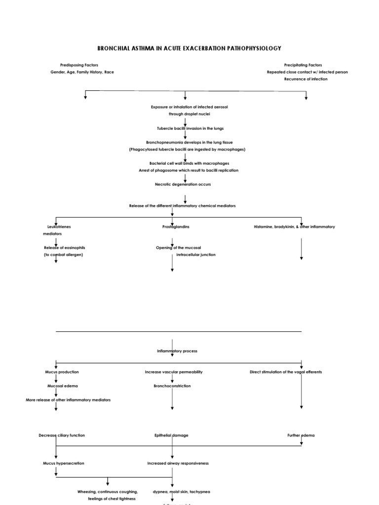 Pathophysiology of Acute Asthma Exacerbation | PDF