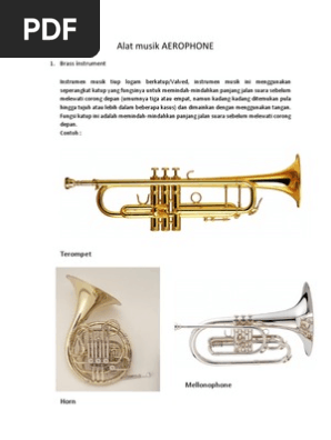 Pengertian alat musik aerophone