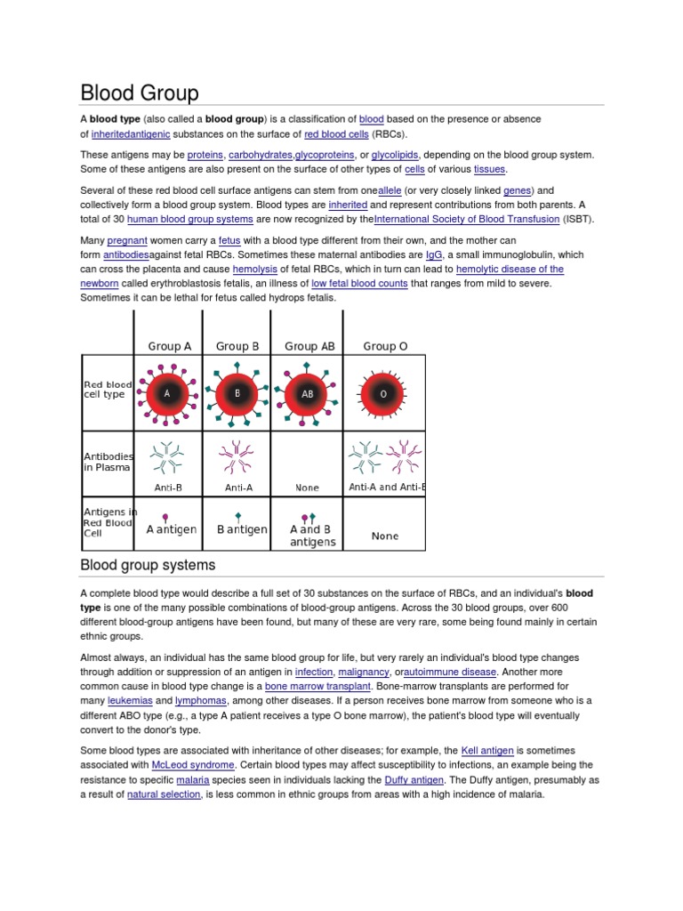 Blood Group PDF Blood Type Blood Transfusion