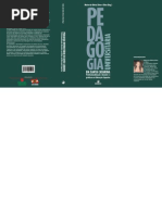 Pedagogia Universitária em Santa Catarina