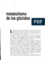 Metabolismo de Los Glucidos