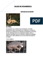 Animales de Sudamerica