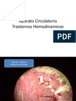 Aparato Circulatorio Trastornos Hemodinamicos