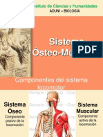 Sistema Oseomuscular