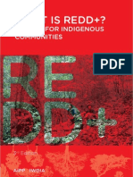 REDD+ Guide for Indigenous Communities (2012)