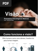Processos Psicológicos - Visão (1)