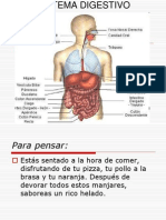 Sistema Digestivo Power Point