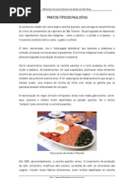 saopaulo-pratostipicos