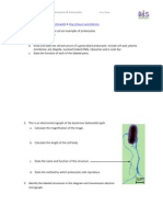 Essential Biology 2.2 and 2.3